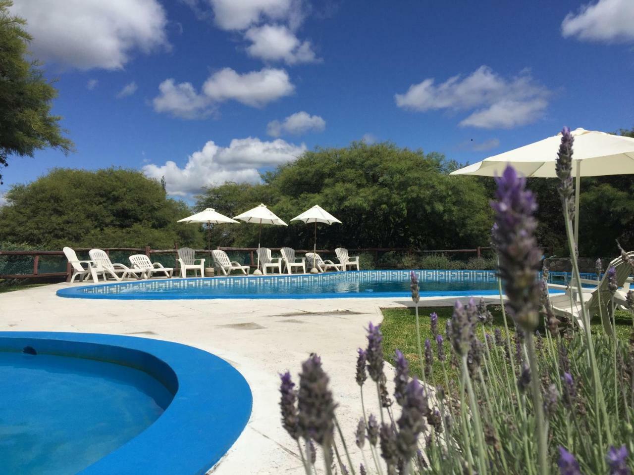 Cabanas Los Algarrobos Villa General Belgrano Exterior foto